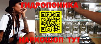 apvp Шелехов